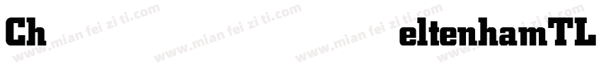 CheltenhamTL Bold字体转换